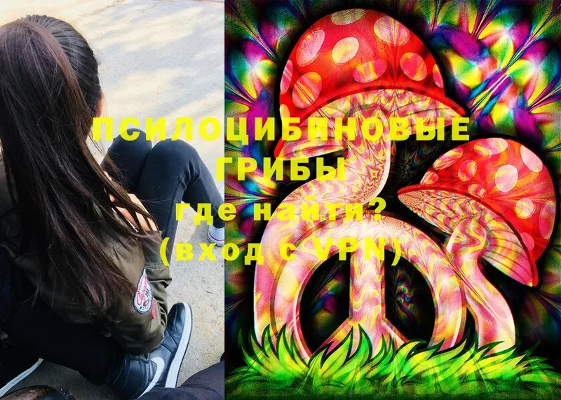 Галлюциногенные грибы Magic Shrooms  Кольчугино 